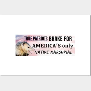 I brake for America's only native marsupial - Funny opossum bumper Posters and Art